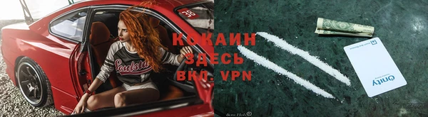 мяу мяу мука Костерёво