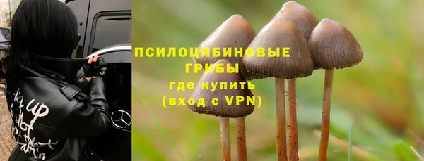 каннабис Коряжма