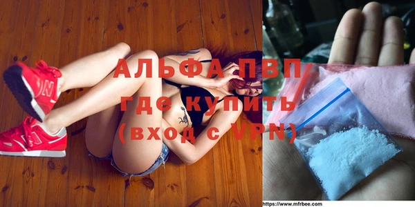 СК Корсаков