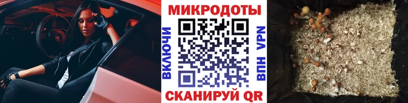 Купить где  Сурск  Псилоцибиновые грибы GOLDEN TEACHER 