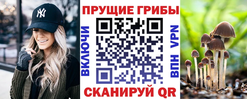 Галлюциногенные грибы Magic Shrooms Сурск
